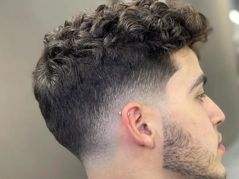low fade curly hair for men