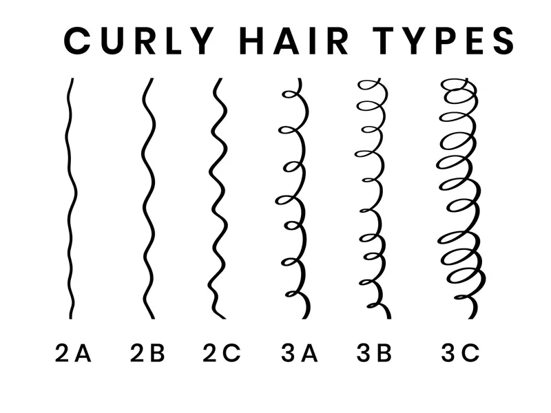 2a 2b 2c 3a 3b curls